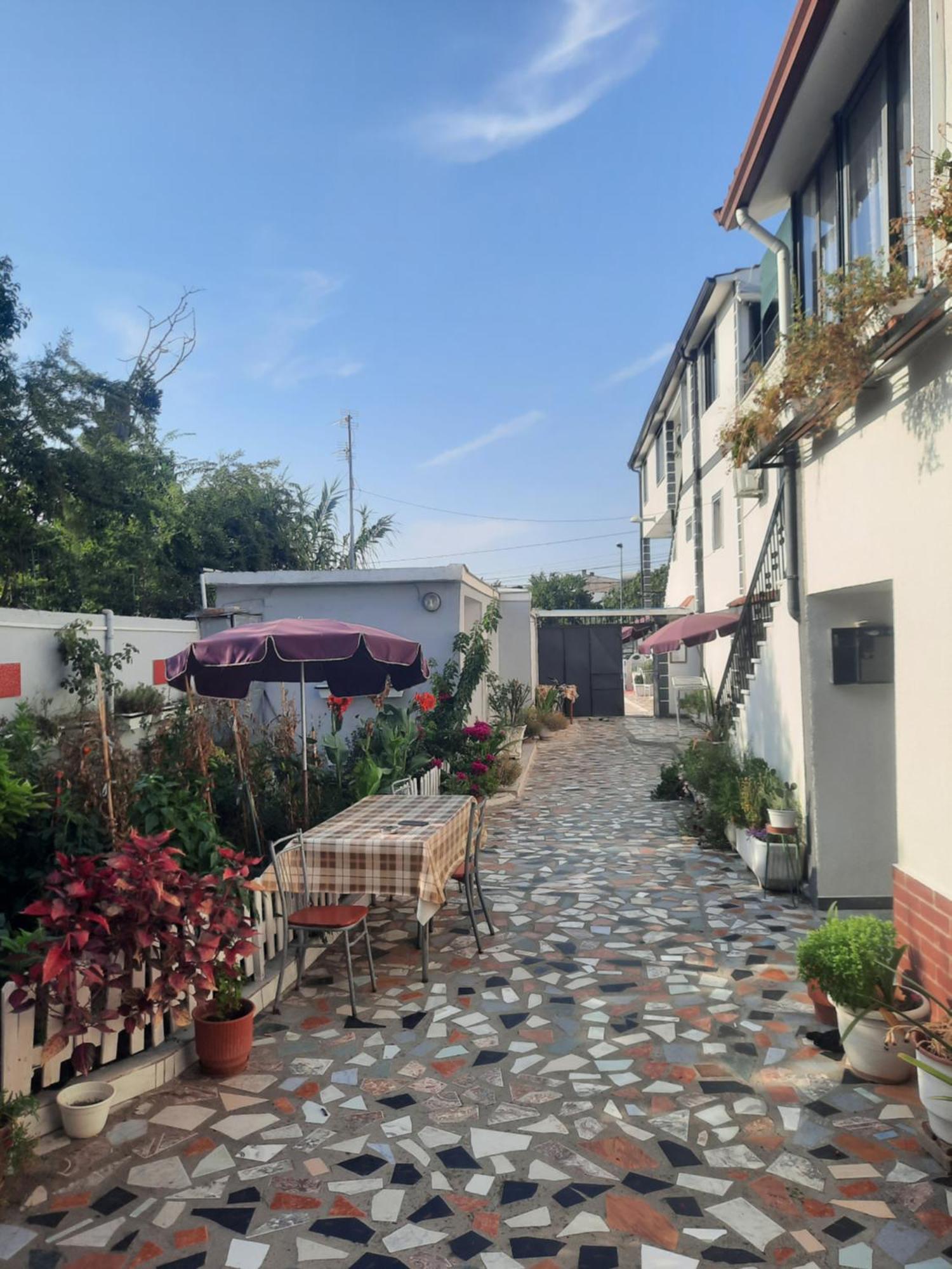 Ibrahimi